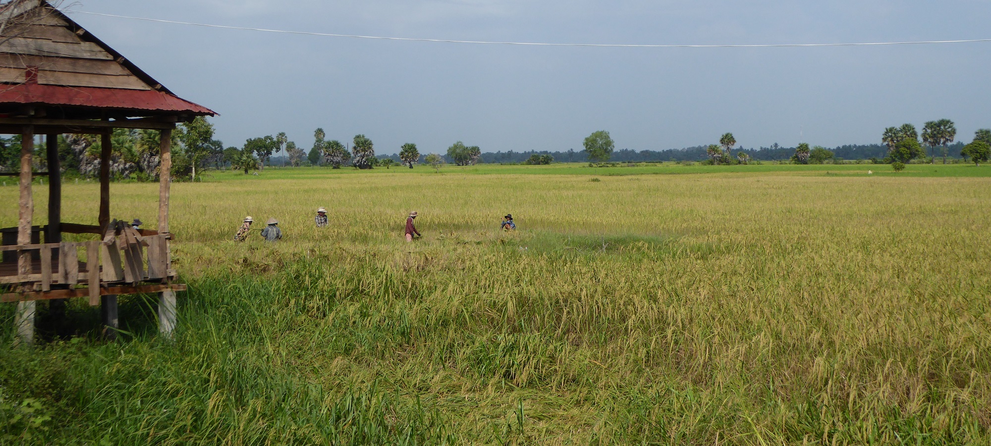 Photos from our Cambodia Cycling Holiday